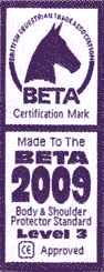 Logo Beta2009 L3