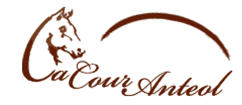 Logo_CourAnteol